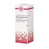 DHU Rhus toxicodendron C30 Dilution, 20 ml Lösung