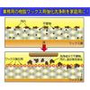 Professional Use Resin Wax Reinforced Cleaner