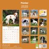 Pointer Calendar 2026 | 16 months | with FREE Organisational Stickers
