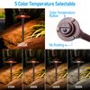 6 Pack 5CCT LED Landscape Pathway Lights, Double Layer, Oil Rubbed Bronze