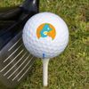 GRAPHICS & MORE Care Bears Wish Bear Novelty Golf Balls 3 Pack