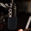 Foam Microphone Windscreen - Mic Cover Pop Filter Customized for NT-USB Condenser Microphone