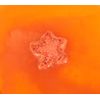 Holler and Glow Counting Stars, Starfish Shaped Bath Fizzer