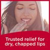 Carmex Medicated Lip Balm Sticks, Lip Moisturizer for Dry, Chapped Lips, 0.15 OZ - 3 Count (2 Pack)