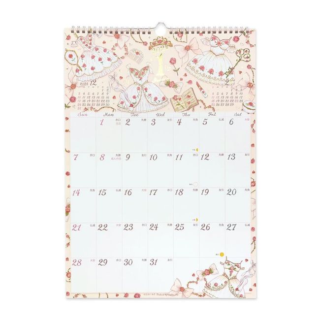 Closed Pin Takei Miki 2024 Calendar Wall Hanging A3 CL95655