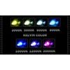 XENTEC D2R/D2S 4300K HID Xenon Bulb (Soft White)
