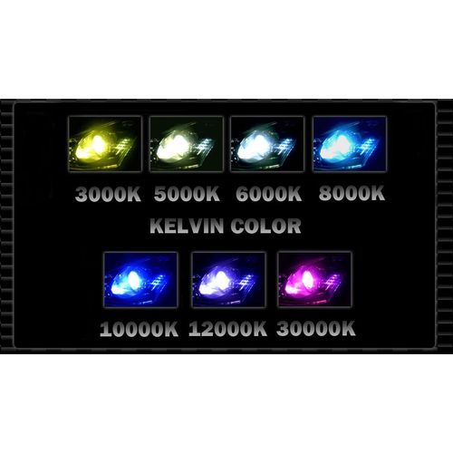 XENTEC D2R/D2S 4300K HID Xenon Bulb (Soft White)