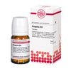 DHU Propolis D4 Tabletten, 80 St. Tabletten