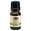 Fabulous Frannie Basil 100% Pure, Undiluted Essential Oil Therapeutic Grade - 10 ml. Great for Aromatherapy!