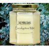 Eucalyptus Mint Candle New Hexagon Jar by Just Makes Scents