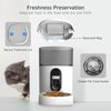 ANYSEA DU4L-KS Automatic Feeder: Timed, Display, Portion, Dispenser, 4L - White