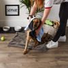 Bone Dry Drying Pet Towel, Bone Towel with Pockets - 30 x 16, Blue