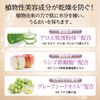 Face Powder Refill P35 Natural Pink 11g (Finishing Powder Pressed Powder Transparency Glossy) [MEIKO MC Collection]