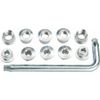 FSA Torx T-30 Alloy Double Chainring Nut/Bolt Set with tool, Silver