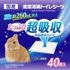 GEX Gex Top Bleeder Clean, Deodorizing Toilet Sheet, 40 Sheets