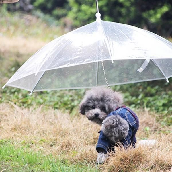 Dog Raincoat Umbrella Raincoat Dog Umbrella Walking Supplies Gatshop