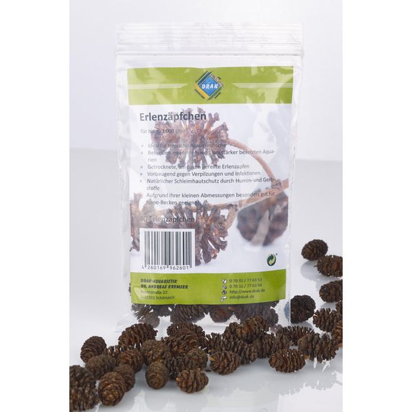 XL Drak Alder Cones (Pack of 30)