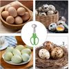 2Pcs Quail Egg Roast egg scissors Cutter Scissors Kitchen Egg Shears Tool(Green)