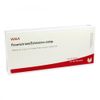 Parametrium/Echinacea comp. ampoules 10 x 1 ml
