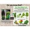 EDMARK Splina Liquid Chloropyll 500ml
