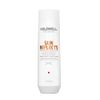 Goldwell Dualsenses Sun Reflect Aftersun Shampoo – 250ml