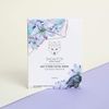 SNOW FOX SKINCARE Face Pack (5 Per Box) (Hot Stone)