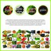 Manda Wellness Superfood | Prebiotic, Fermented Health Product Made in Japan | Support Your Gut Health, Support Your Immune System | Manda Koso (31sachets)