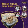 Small Beginners Mushroom Grow Kit | Indoor Grow Kit w/ Bulk Substrate