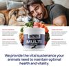 Dignity Canine Multi Soft Chews - 60 Count | Dog Wellness Supplement | All Breed