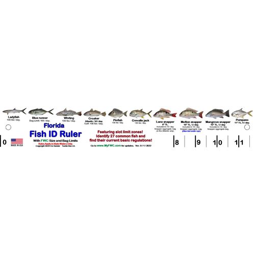 Florida Fish I.D. Ruler – 33.75” Folding Ruler Showing 27 Common Florida Fish in True-to-Life Color Photographs and Their Current FWC Rules with Highlighted Slot Bracket Zones