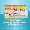 Nature's Way Boericke and Tafel Triflora Arthritis Topical Gel, Relief for Arthritis, Tendinitis, Joint Pain, and Stiffness*, 2.75 Ounce