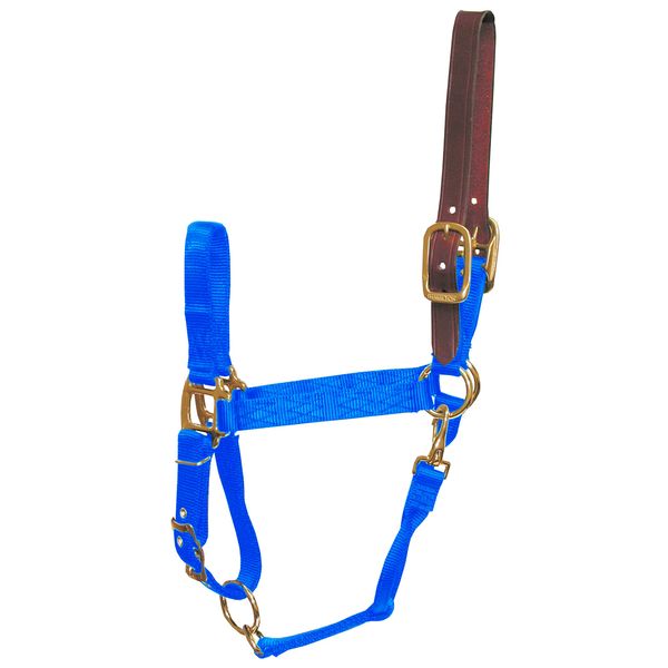 Hamilton 1-Inch Nylon Adjustable Horse Halter with Leather Head Poll and Throat Snap, Large, Blue