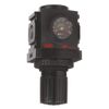 Air Regulator, 3/8 in NPT, 113 cfm, 250 psi