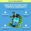 Brain Boost Nootropic Supplement | Supports Memory, Energy | Caffeine-Free, P...