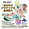 Mobibi Shoe Deodorizing Powder, Mini Bottle, 0.6 oz (16 g), Moabibi-chan's Magic Powder