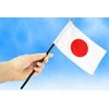 Palestine Flag [Mini Flag Pole with Suction Cup with high-grade TR]