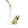 Doodlebone Padded Lead, Tangerine, 15mm
