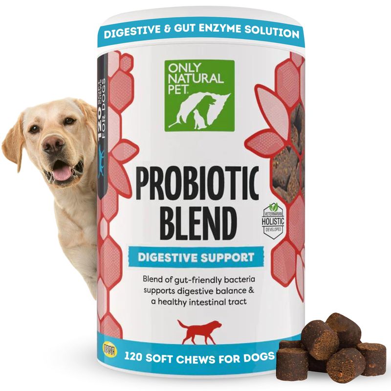 Puppy Digestive Health With Probiotics photo