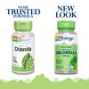 Solaray Chlorella Capsules, 410 mg, 100 Count