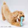 Petio Dog Toy, Petio, Health Program, Full Bone