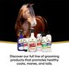 Absorbine ShowSheen 2-in-1 Shampoo & Conditioner, 591ml