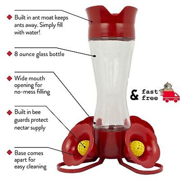 Perky-Pet Hummingbird 8 oz. Glass Nectar Feeder 4 ports Built-in Bee Guards