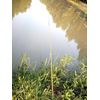 2pcs Traveling 9 Sections Telescopic Pole 2.7M