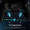 Wireless Switch Controller for Switch/Lite/OLED/Windows with Turbo/Vibration