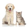 Pet Pinpoint Hair Cutter