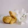 Croll & Denecke Natural sponge, natural, approx. 9 cm