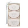 Carved Solutions Signature Spa Trio Satsuma-Bee Soap