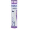 Boiron Phosphoricum Acidum 1M Md 80 Pellets for Poor Concentration Due to Overwork