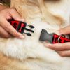 Plastic Clip Collar - That's What SHE Said Red Black - Small 9-15"