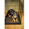 Mud River Crate Cushion, Small/26" x 16" x 1", Brown